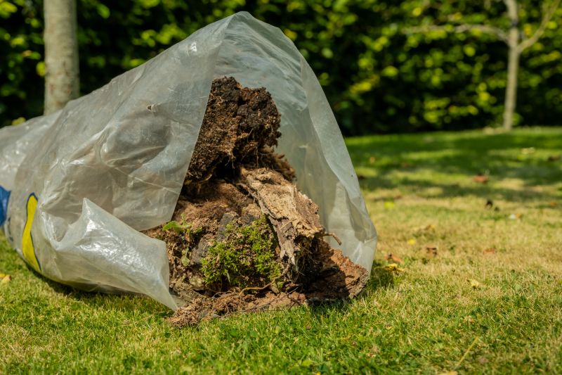 Apple Tree Removal Cost — Cost of Apple Tree Removal