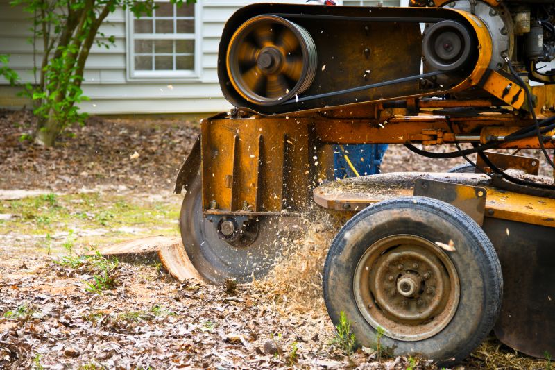 Stump Grinding Equipment