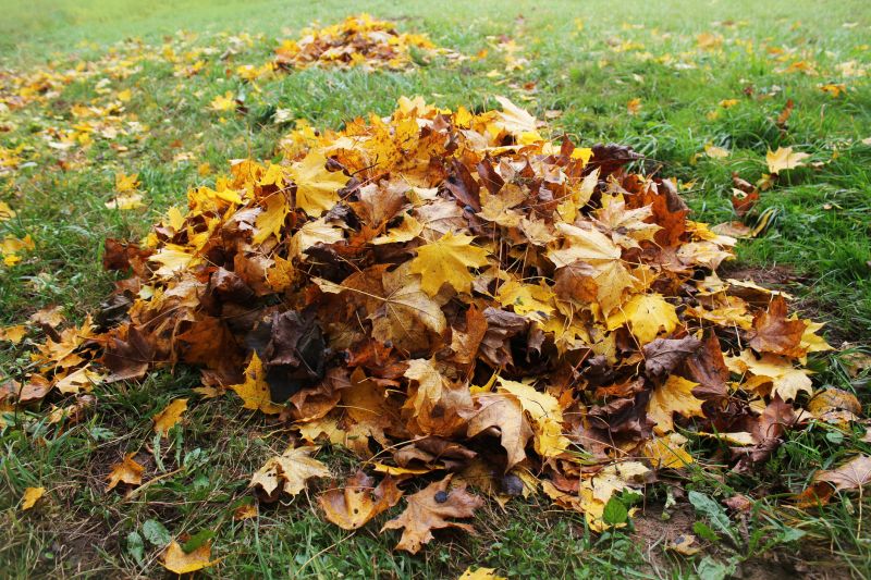 Yard Cleanup and Leaf Disposal